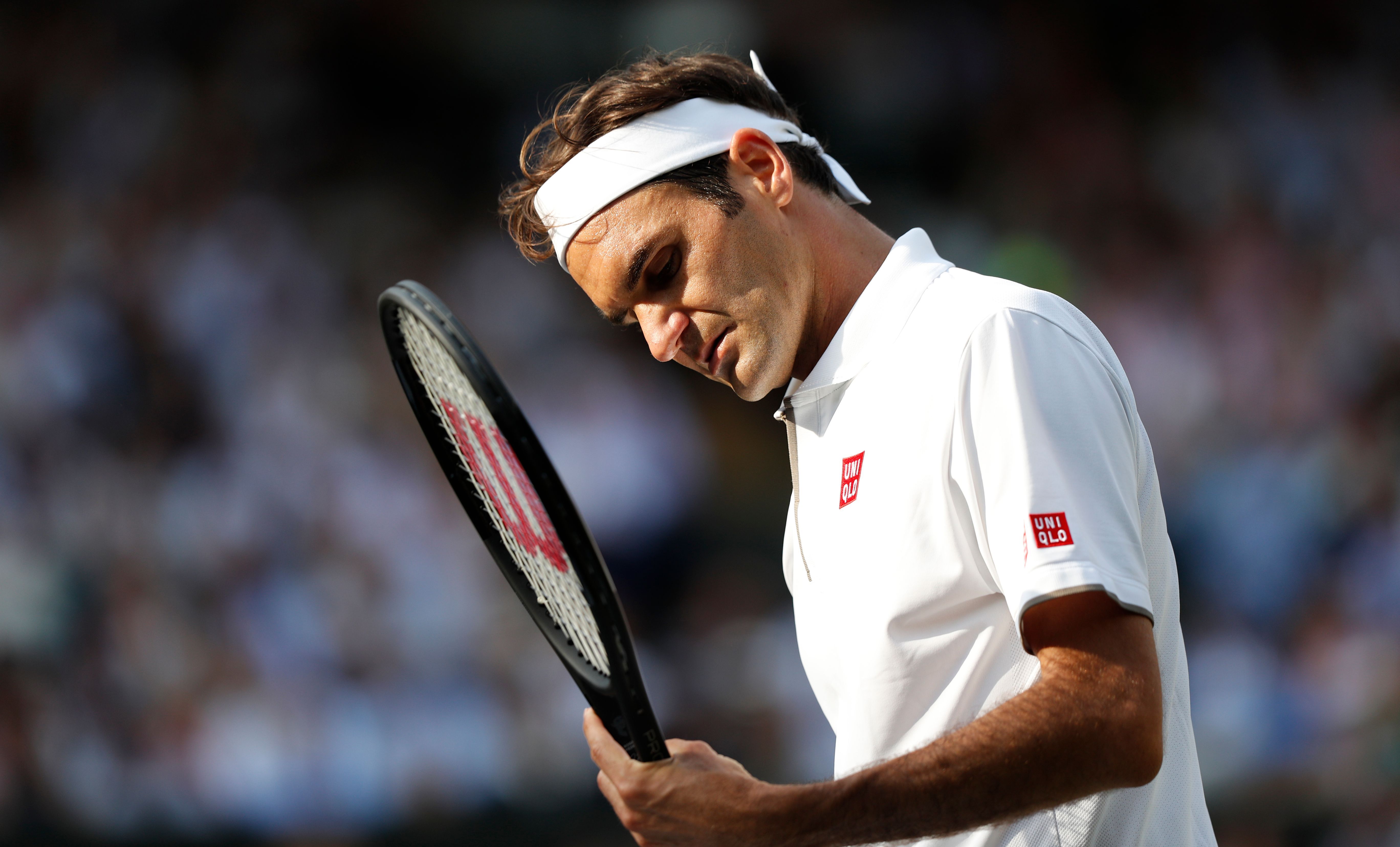 Wilson Roger Federer Autograph