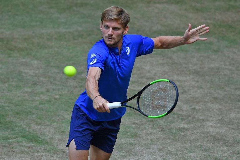 David Goffin colpisce di rovescio