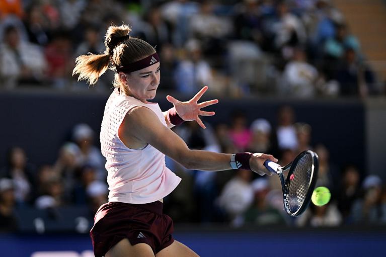 Karolina Muchova (Getty Images)