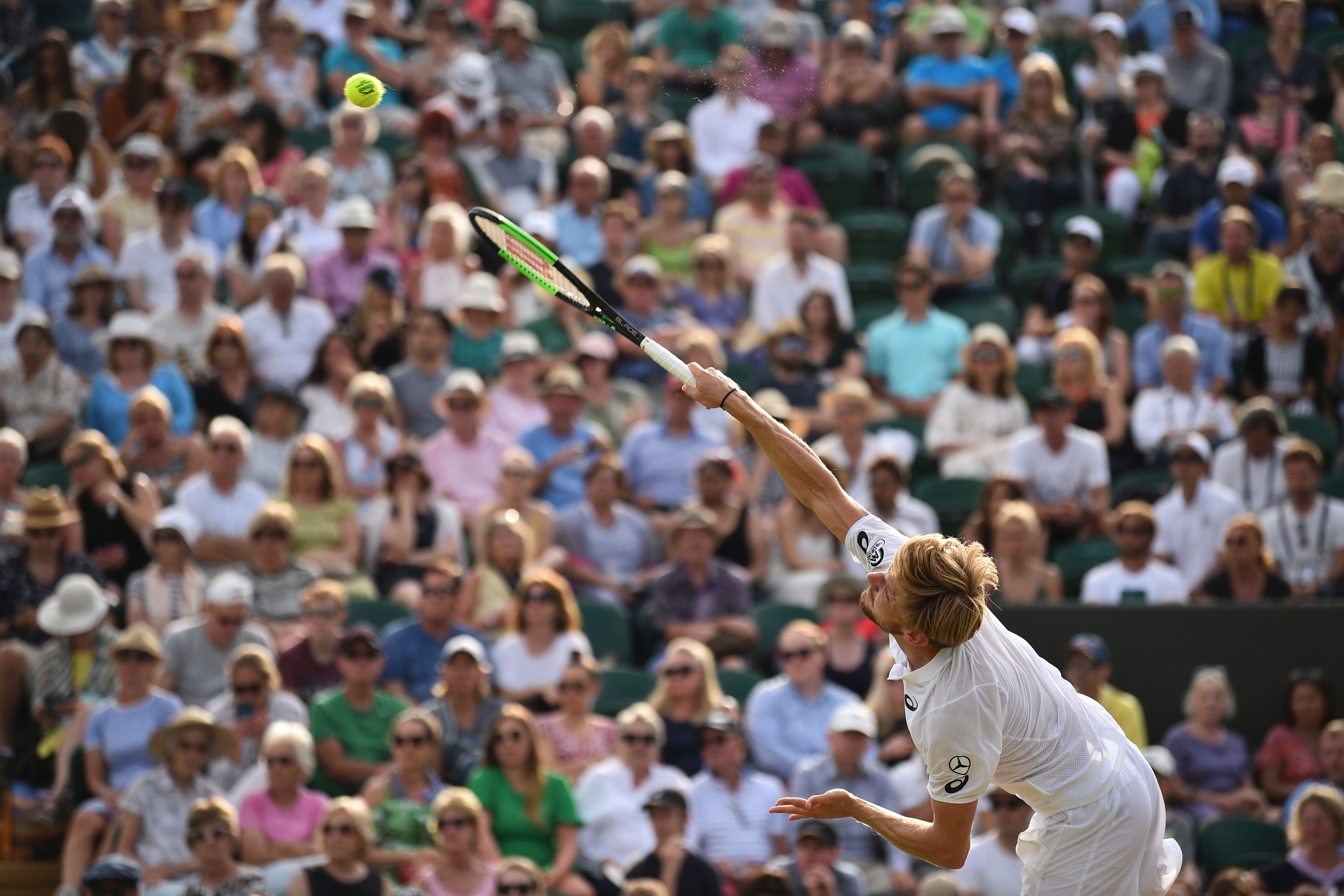 David Goffin
