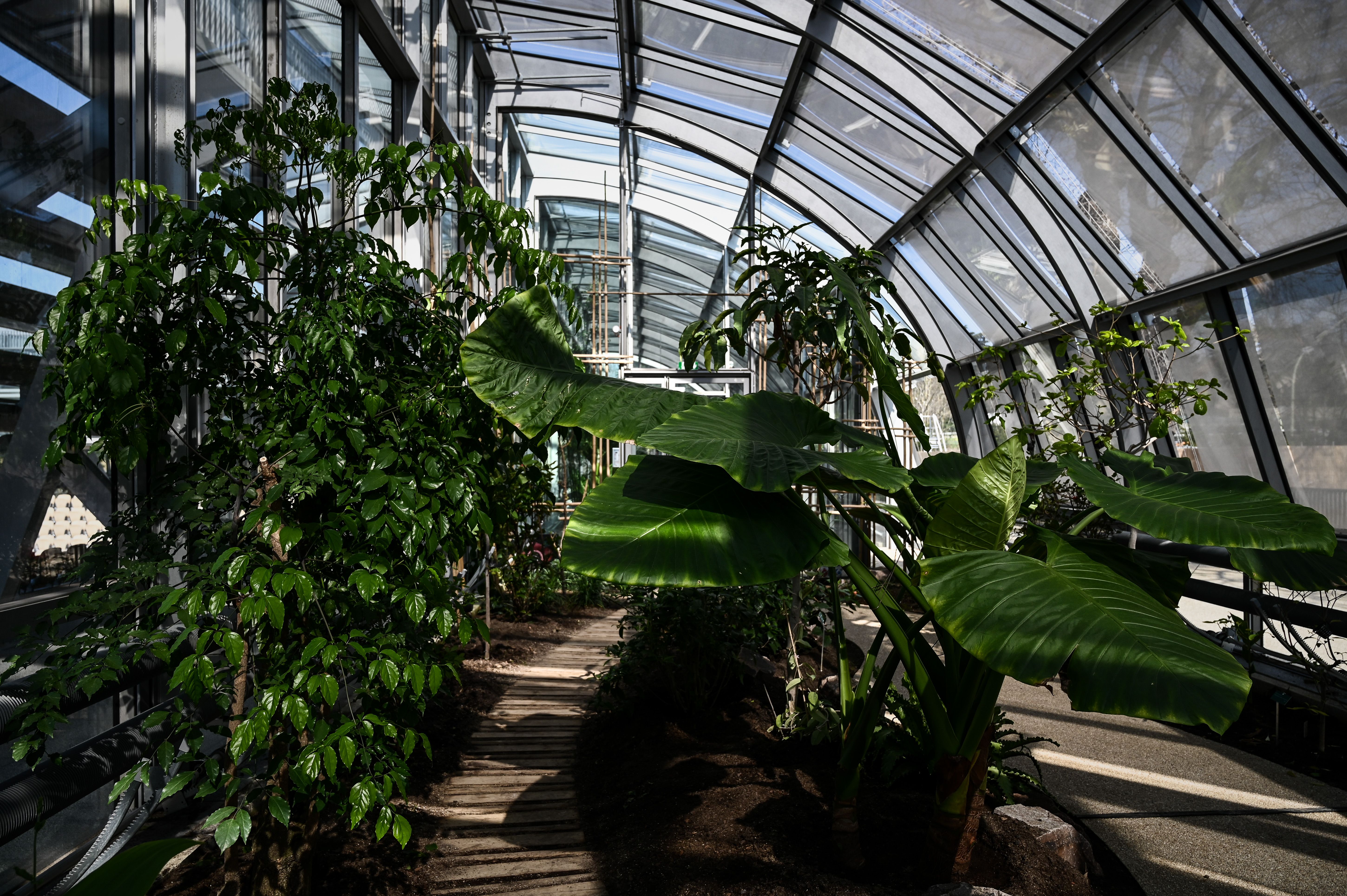 Il campo Simonne Mathieu dall'interno