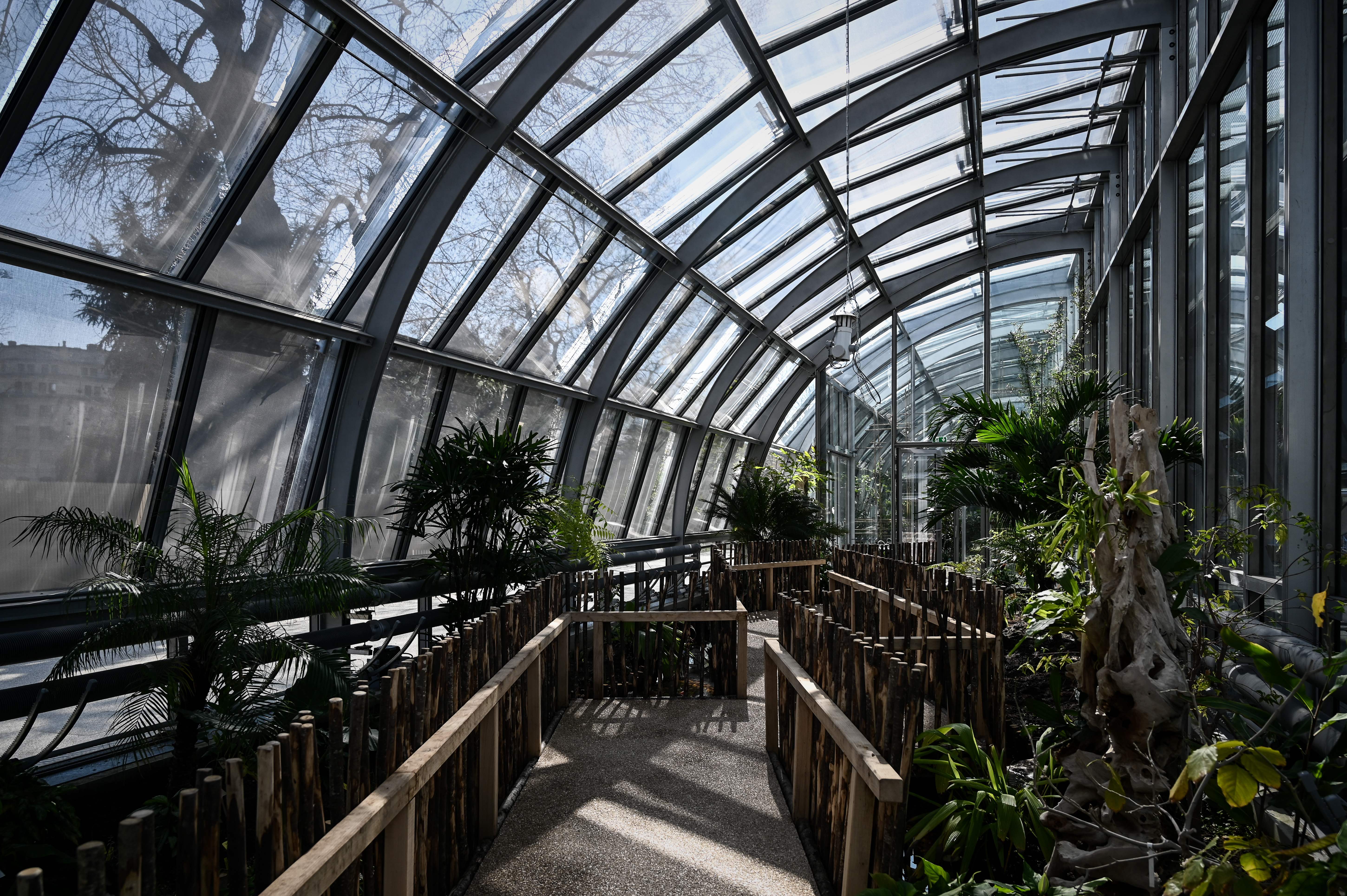 L'interno del campo Simonne Mathieu