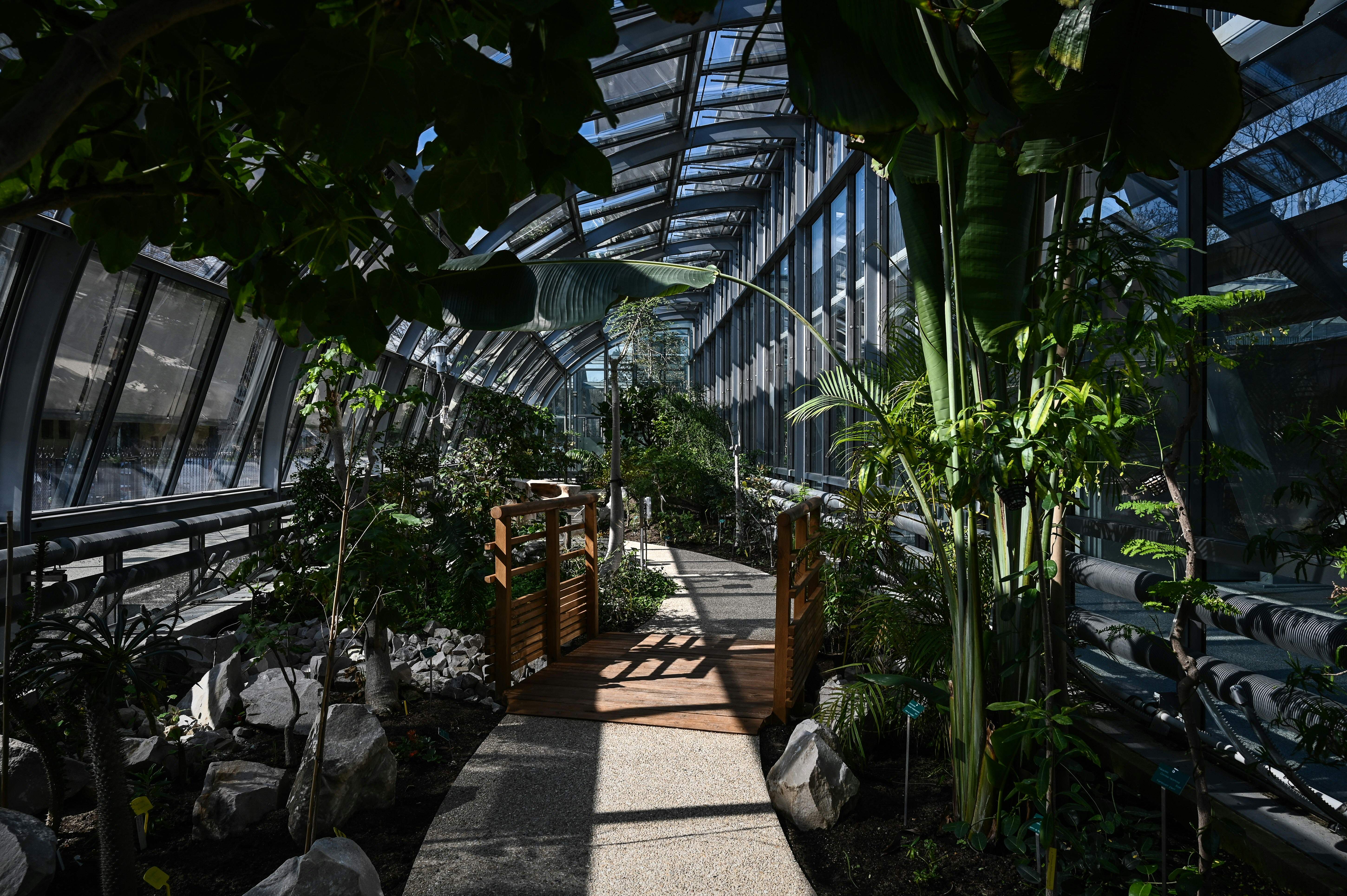 Il Simonne Mathieu, stadio e serra insieme