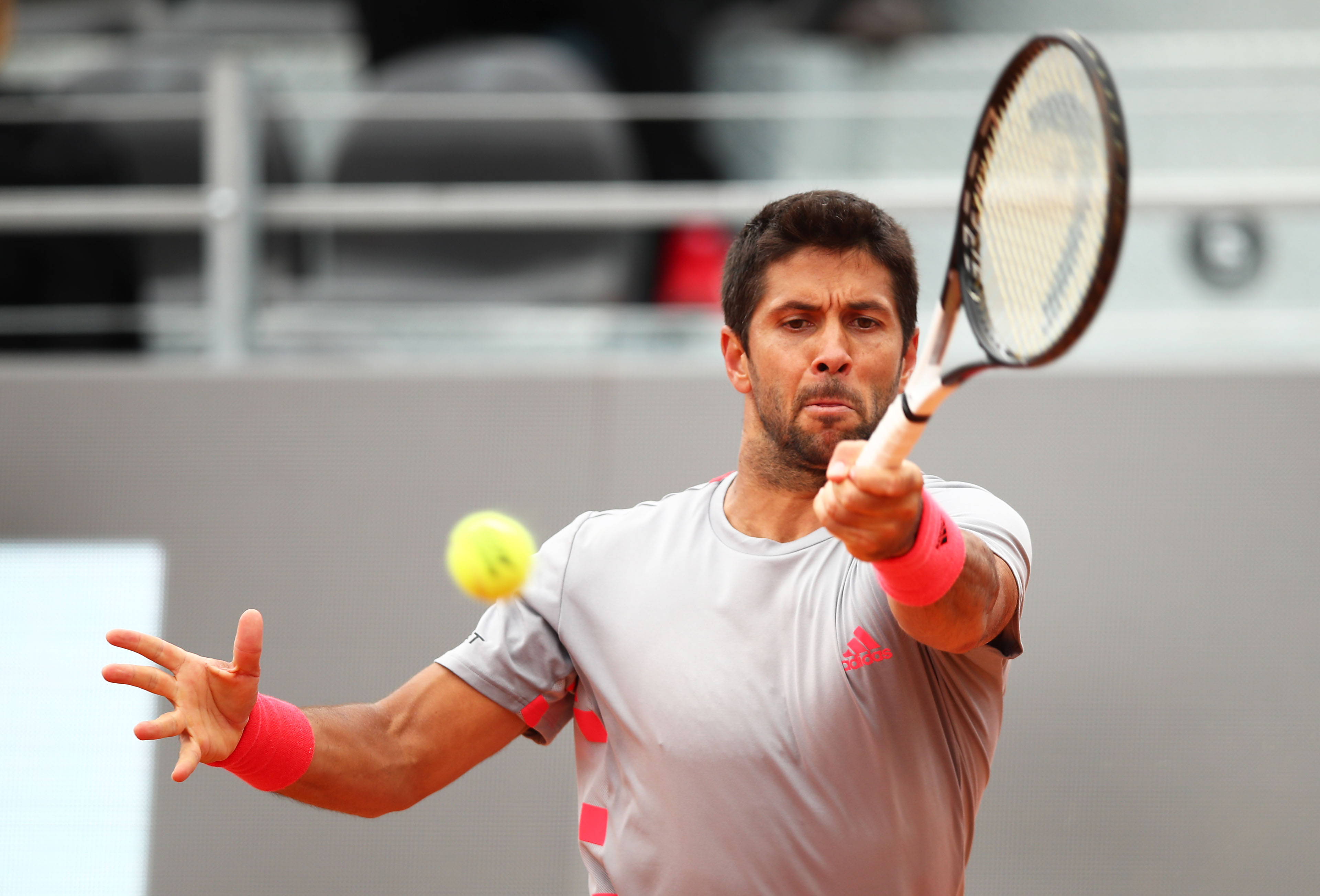 Fernando Verdasco