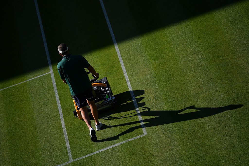 L’erba dei campi di Wimbledon è la segale perenne, e viene tagliata ogni mattina, prima dell’inizio degli incontri. La lunghezza, durante il torneo, è di 0,8 millimetri. Durante l’anno, invece, viene lasciata crescere mezzo centimetro in più, fino a 12-13 millimetri, e poi ridotta gradualmente fino al via del torneo.