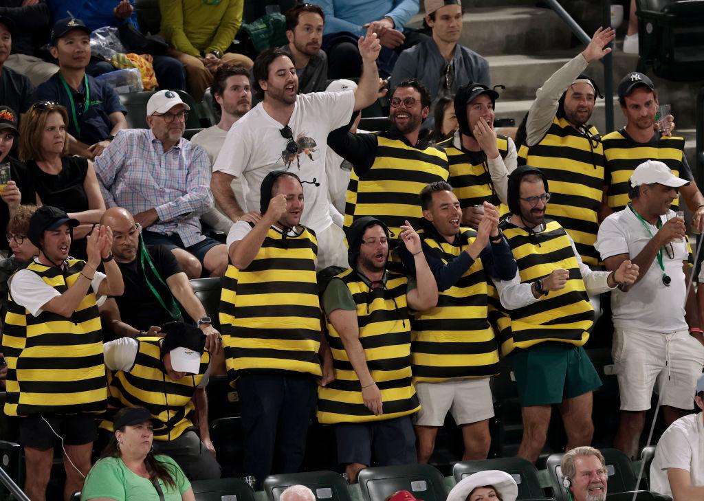 Alcaraz, il vento e le api